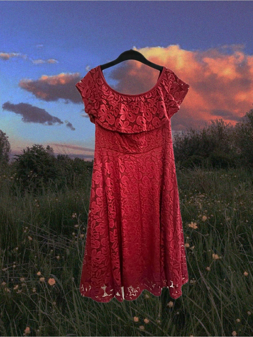 Floral Lace Off Shoulder Swing Dress for Cocktail Wedding Party (L, Wine Red)